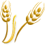 Wheat logo
